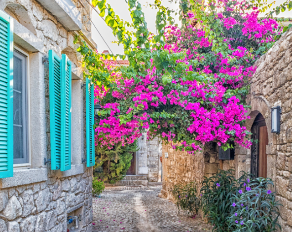 03/28 伊斯坦堡✈伊茲密爾→阿拉恰特→庫薩達西