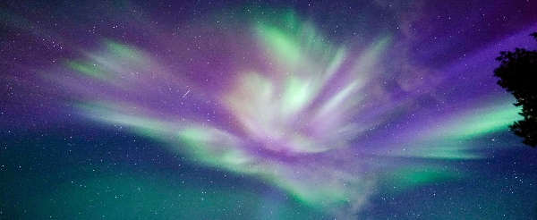 民宿 → 鎮上自由活動→國內航班(羅瓦涅米✈赫爾辛基)