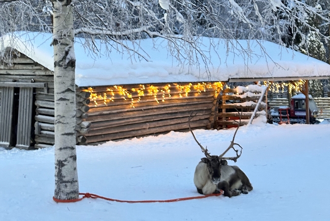 民宿 → 馴鹿體驗+哈士奇體驗 → 奧納斯山 → 憤怒鳥公園 → 民宿