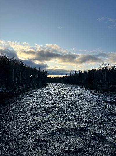 民宿 → Vikaköngäs登山 → 民宿