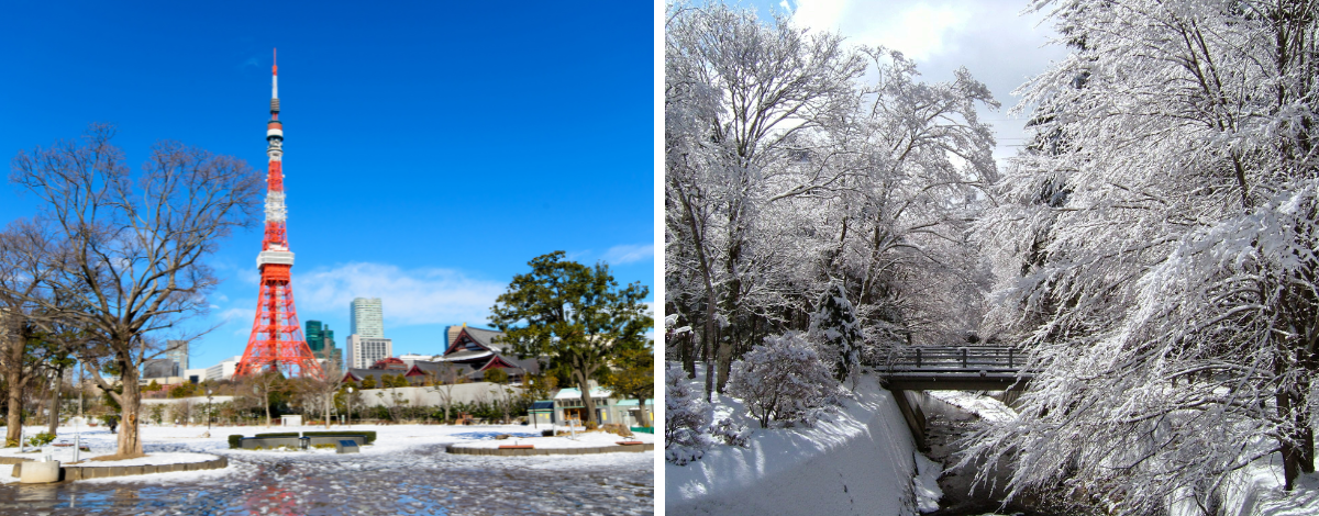 台北→成田機場→燒肉放題晚餐→超市購物趣→輕井澤