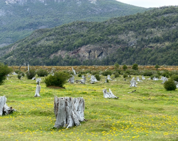 12/29 火地島一日遊【搭乘世界盡頭小火車】