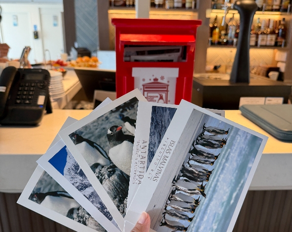 12/25 南極半島【登陸+巡航】