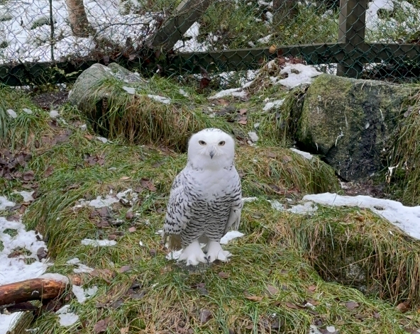 民宿→拉努阿動物園→民宿