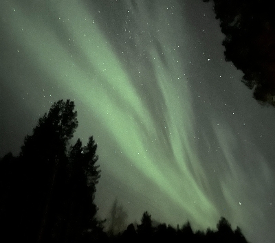 民宿 → 鎮上自由活動→國內航班(羅瓦涅米✈赫爾辛基)