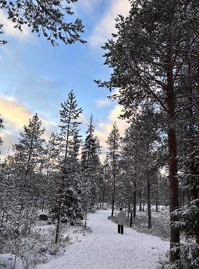 民宿→Vikaköngäs登山→民宿→極光之夜