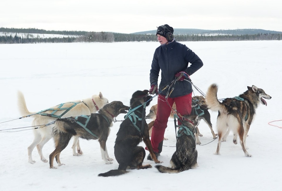 民宿→馴鹿體驗+哈士奇體驗→奧納斯山→憤怒鳥公園→民宿