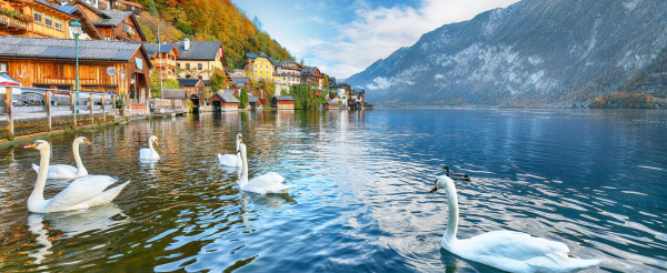 06/28 杜拜✈台北