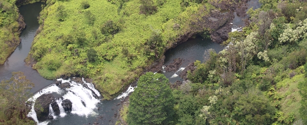 自由活動 或是 自費參加Napali Coast浮潛行程 或是 直升機行程→四點半前回到碼頭、準備啟航往歐胡島)