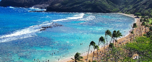 恐龍灣(浮潛用具自備)、ANA MOANA 購物中心→登上豪華郵輪、準備啟航往茂宜島