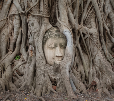 04/12 搭乘巴士前往大城世界遺產(瑪哈泰寺+帕席桑碧寺+帕蒙空博碧大皇宮+最大室外臥佛)→搭乘遊船返回曼谷+自助式午餐(沿途欣賞昭拍耶河景色和沿岸知名景點)→曼谷最強百貨公司ICON SIAM→GINGER FARM 泰北人氣米其林餐廳