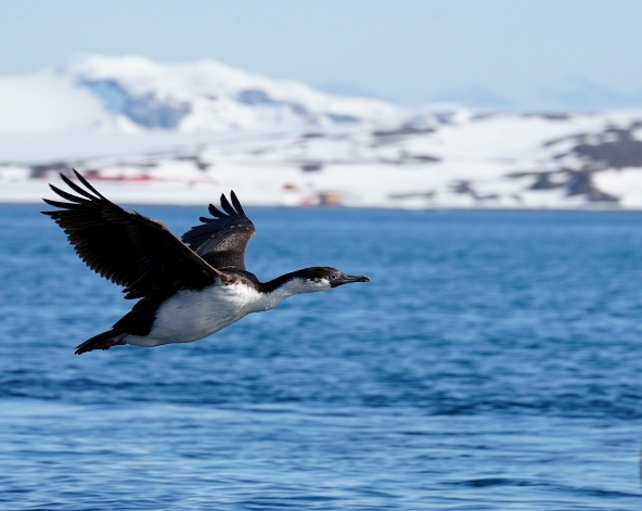 12/20 穿越德瑞克海峽【航海日】