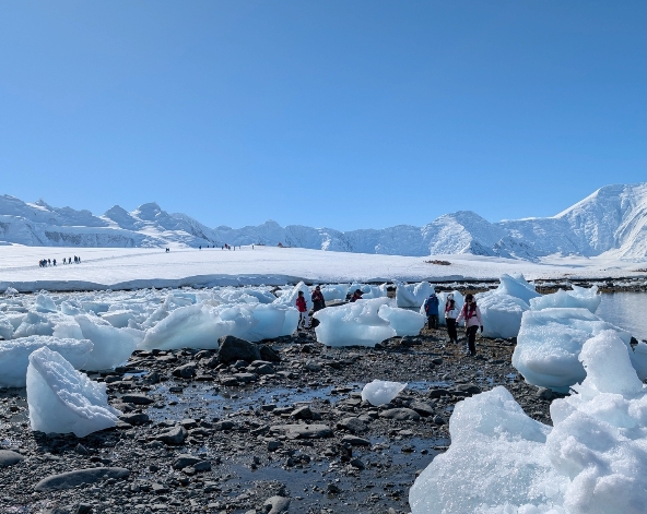 12/24 南極半島【登陸+巡航】