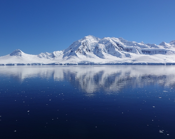 12/24 南極半島【登陸+巡航】