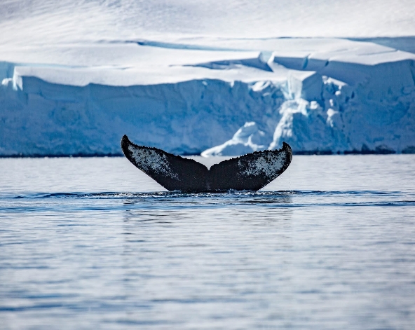 12/16 台北→土耳其