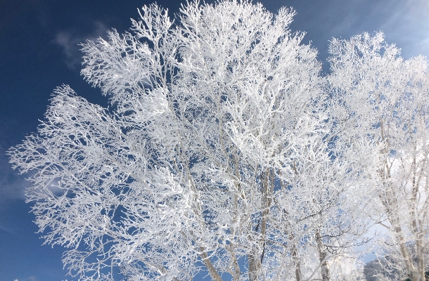 野澤溫泉滑雪場
