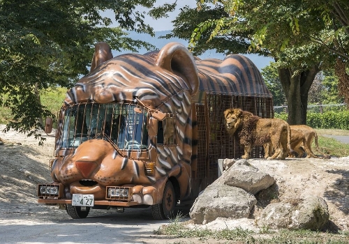2/2 九州自然動物園(可搭乘遊園巴士親餵猛獸)→LaLaPort購物中心(必買必逛:阿卡醬.UNIQLO.藥妝店.會動的巨型鋼彈...)