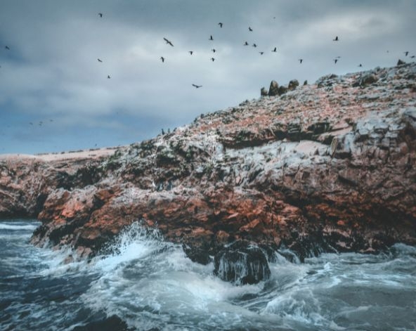 9/10利馬→帕拉卡斯