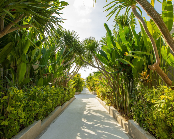 享用早午餐(牛排套餐)→The balinese峇里概念店→機場→台北