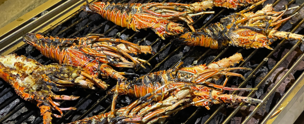 12/31 阿漾河激流泛舟&豬肋排簡餐→舒壓按摩120分鐘 (精油、熱石二選一)→返回別墅稍作休息→雞尾酒時光→鈦美之夜~別墅BBQ PARTY+酒水飲料+現場DJ+攝影+泳池浮水玩具→跨年倒數、迎接2026