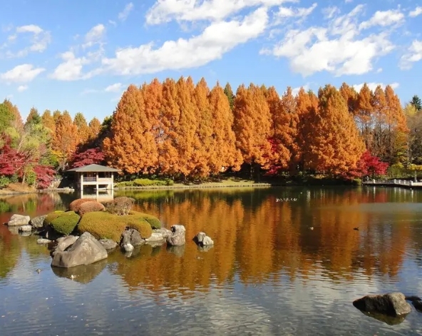 台北→東京→日式定食→宇都宮中央公園→白石市→燒肉定食