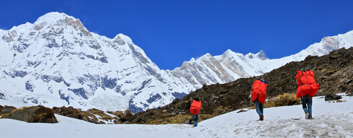 健行日:ABC → Bamboo