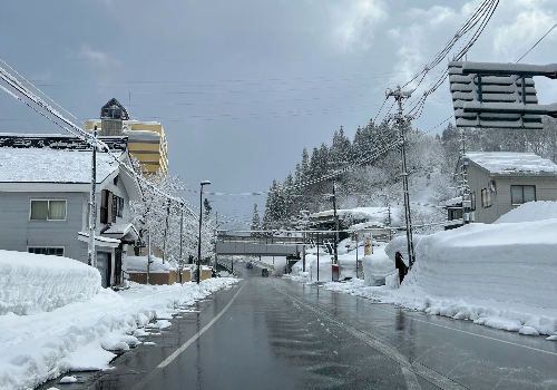 退房→機場→台北 (另外想停東京玩的人可以訂位前延長天數)