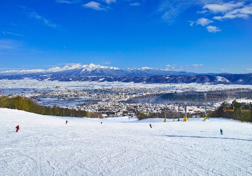 早餐時光→集合前往雪場試裝→分組上課 (五小時課程)