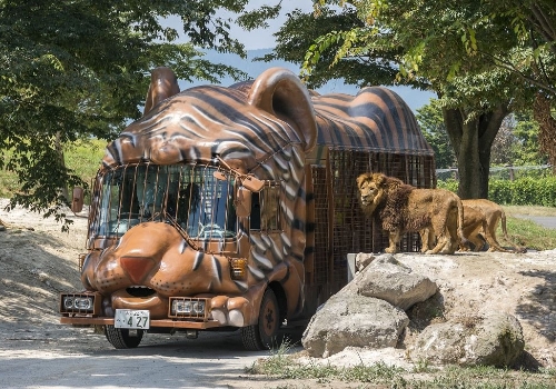 1/29 九州自然動物園（可搭乘遊園巴士親餵猛獸）→LaLaPort購物中心（必買必逛：阿卡醬.UNIQLO.藥妝店.會動的巨型鋼彈...）