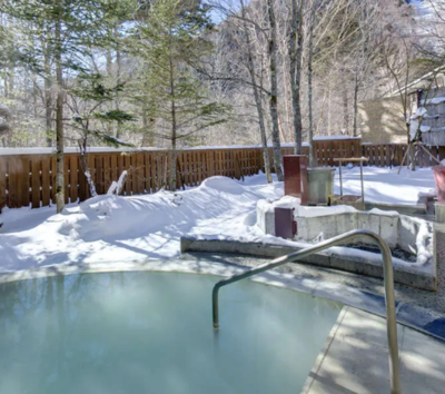 日光之旅~日光東照宮、神橋、湯波料理、日光老街、中禪寺湖→溫泉飯店晚餐