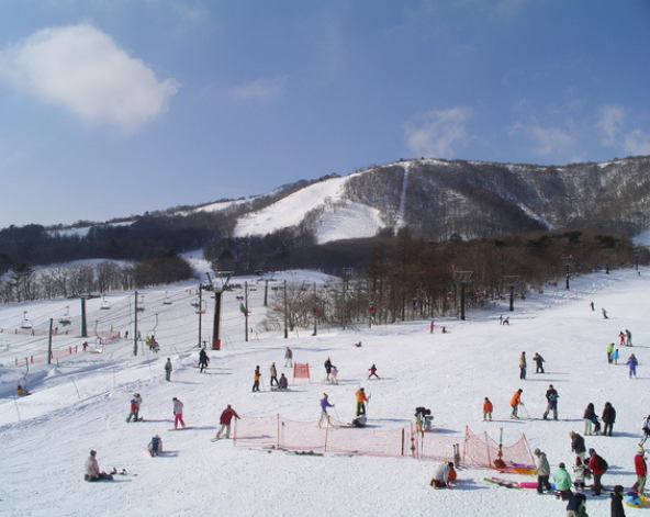 早餐時光→集合前往雪場試裝→分組上課 (五小時課程)