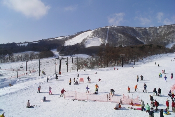 早餐時光→集合前往雪場→分組上課 (五小時課程)→WILD BBQ 海陸燒烤之夜