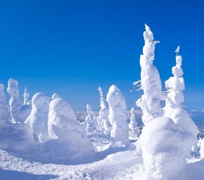 休息日、大家可以一起前往 藏王樹冰、銀山溫泉、天童溫泉觀光 (或可以前往雪場繼續滑雪)