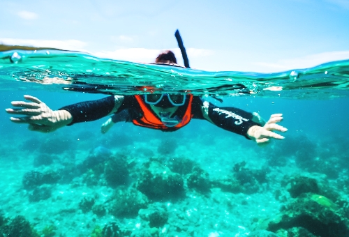 【02/17 大年初一】秘境海島雙出海、珊瑚保護區海龜共遊、巫師島三層瀑布、泰山樹藤跳水 海島度假五日 (鈦美領隊隨行) 【02/17 大年初一】秘境海島雙出海、珊瑚保護區海龜共遊、巫師島三層瀑布、泰山樹藤跳水 海島度假五日 (鈦美領隊隨行)