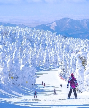 2027 藏王滑雪旅遊推薦：日本藏王滑雪團！溫泉別莊、銀山溫泉、藏王樹冰、狐狸村六日【新手友善】