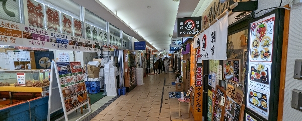 函館朝市→猴子泡溫泉→五稜郭→八幡坂→一文字拉麵→函館山百萬夜景→谷地頭溫泉