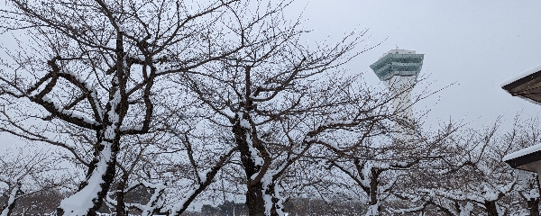 函館朝市→猴子泡溫泉→五稜郭→八幡坂→一文字拉麵→函館山百萬夜景→谷地頭溫泉