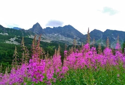 Day 11 扎科帕內 Zakopane