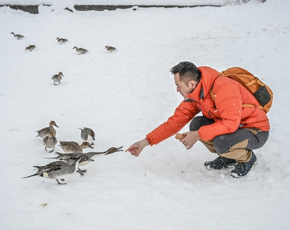 自由活動 (周邊觀光或泡溫泉、或是繼續滑雪)