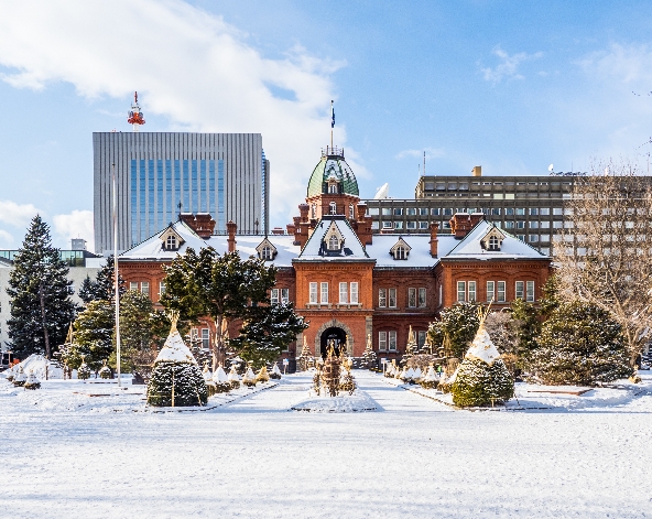繼續滑雪 或 提前出發市區觀光→札幌市區