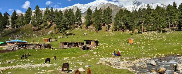 仙女草甸Fairy meadows ～ 吉爾吉特 Gilgit