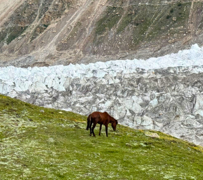 仙女草甸Fairy meadows ～ 吉爾吉特 Gilgit