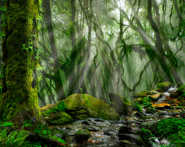 健行日：Sinuwa → Deurali