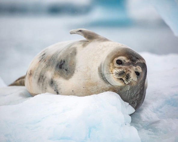 12/17 土耳其→布宜諾斯艾利斯