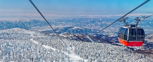 休息日、大家可以一起前往 藏王樹冰、銀山溫泉、天童溫泉觀光 (或可以前往雪場繼續滑雪)