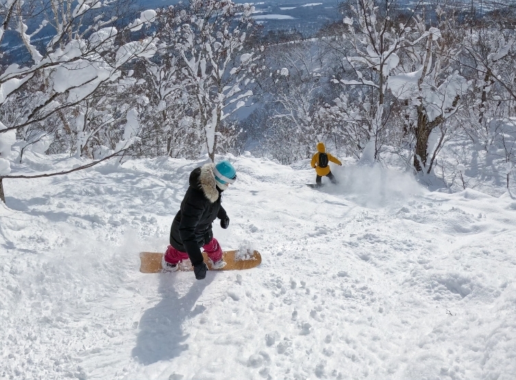 沿途午餐→機場→台北/高雄