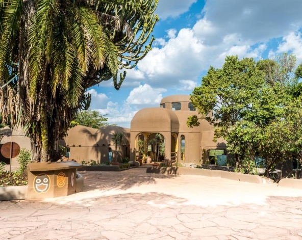 Maasai Mara Safari→入住 Mara Serena Safari Lodge