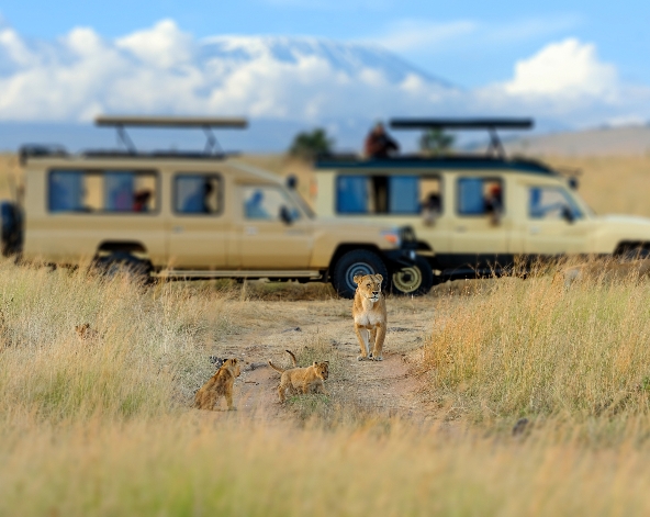 Maasai Mara 最後遊獵~Bush Dinner 草原晚宴