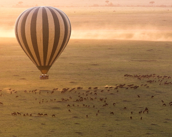 Maasai Mara 最後遊獵~Bush Dinner 草原晚宴